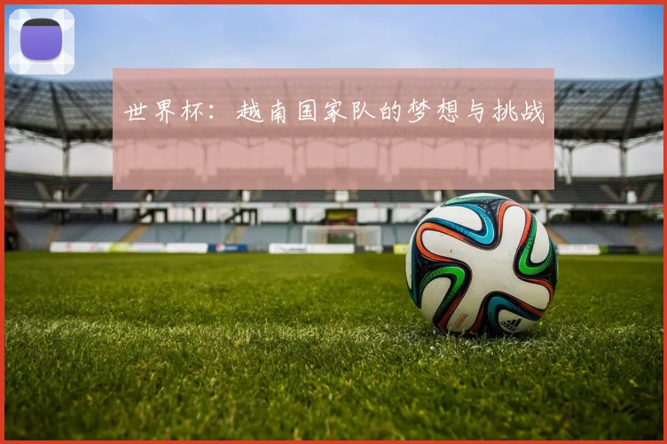 世界杯：越南国家队的梦想与挑战