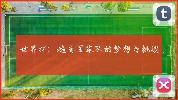 世界杯:越南国家队的梦想与挑战