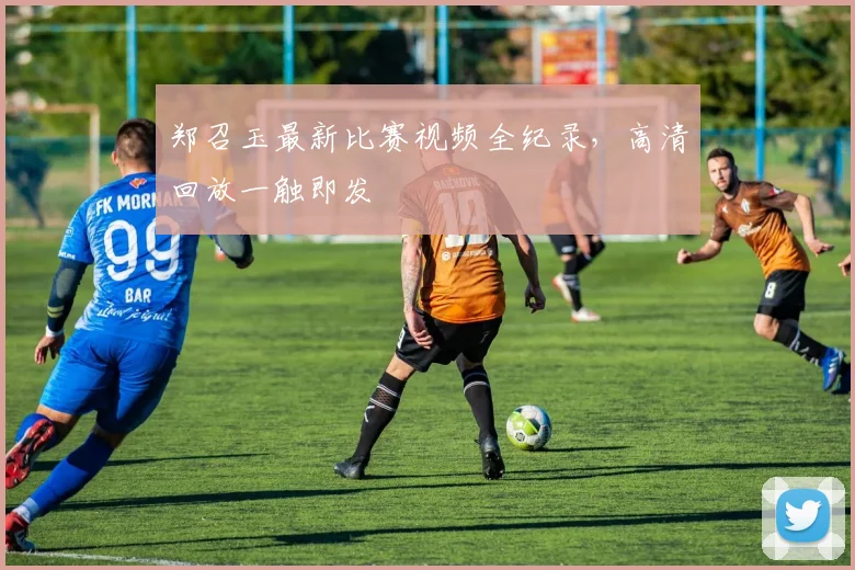郑召玉最新比赛视频全纪录，高清回放一触即发